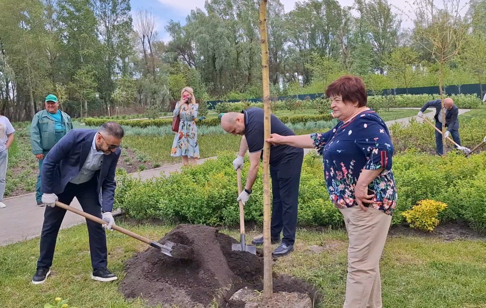 В Киеве организована акция по посадке деревьев, приуроченная ко дню рождения Гейдара Алиева