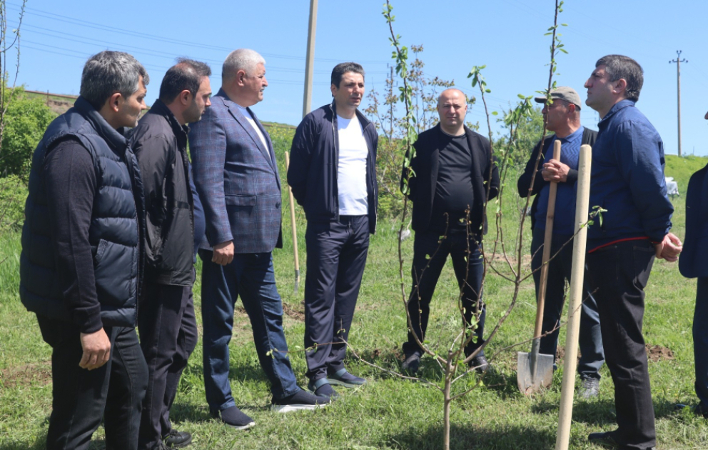 Xocalıda Ulu Öndər Heydər Əliyevin 103 illiyi münasibətilə ağacəkmə aksiyası