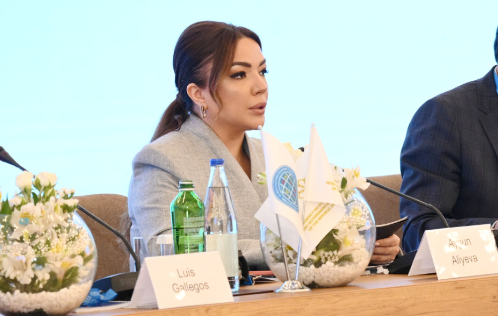 Aygün Əliyeva: Qlobal Cənub onun gələcəyinə təsir edən qərarlara töhfə verilməsində konstruktiv iştirakçı rolunu oynamalıdır