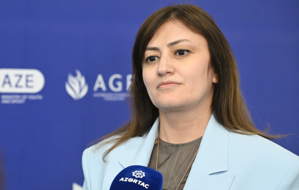 Baş katib: “AGF Trophy” turniri gənc gimnastlarımızın püxtələşməsi üçün vacibdir