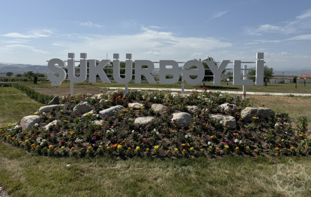 Böyük Qayıdışın növbəti ünvanı – Şükürbəyli kəndində həyat yenidən canlanır