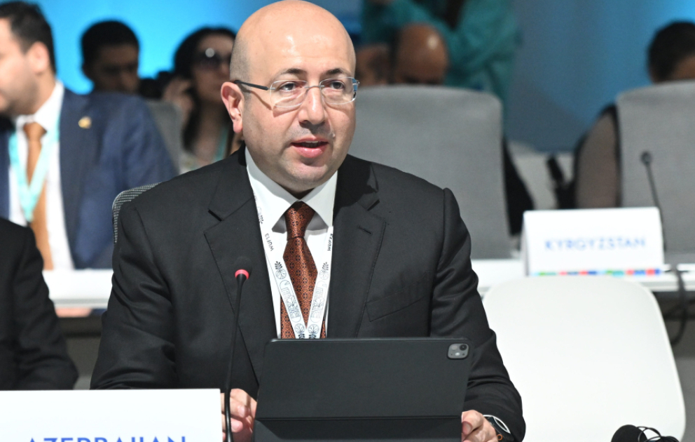 Milli koordinator: Assambleyalar bizim ən güclü dəyərləri təmsil edir