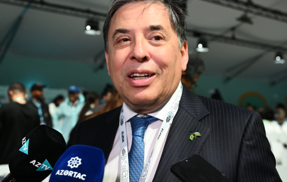Braziliya səfiri: Azərbaycanın təcrübələrini öyrənəcəyik