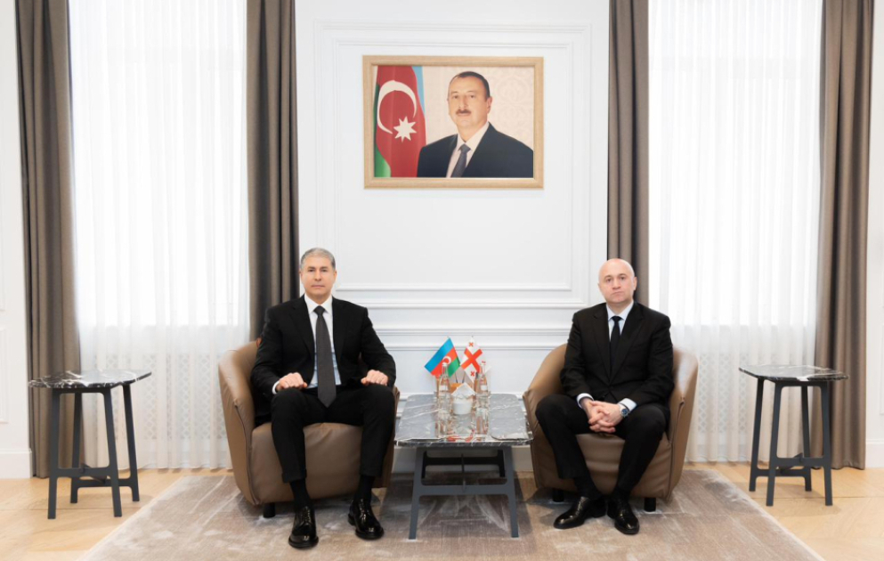 Daxili işlər naziri Vilayət Eyvazov gürcüstanlı həmkarı ilə görüşüb