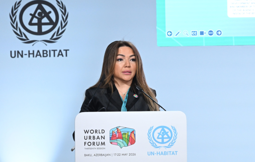 Aygün Əliyeva: İnklüziv cəmiyyətin formalaşmasında vətəndaş cəmiyyəti institutlarının iştirakı xüsusilə mühüm rol oynayır