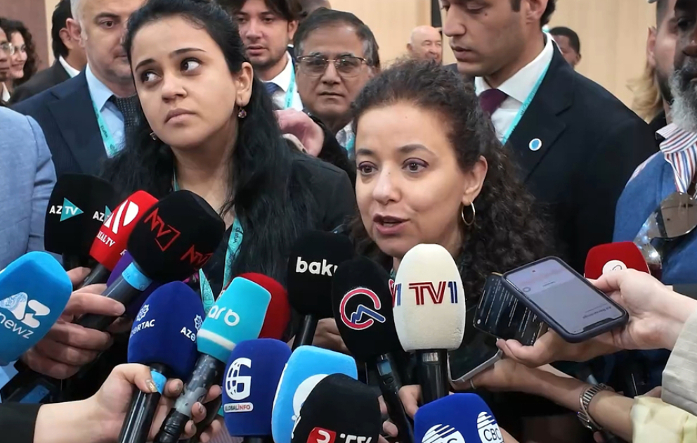 Dima Al-Khatib: BMT-nin Cənub-Cənub Əməkdaşlığı üzrə Ofisi Qlobal Cənub QHT Platforması ilə sıx əməkdaşlıq edəcək