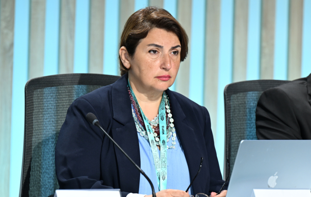 Şəfəq Mehrəliyeva: Qlobal təşəbbüslərin cəmiyyətə çatdırılmasında medianın peşəkarlığı xüsusi əhəmiyyət daşıyır