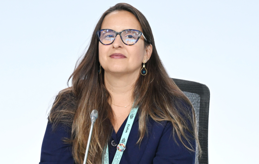 Rayne Ferretti: Şəhərlərin planlaşdırılması zamanı təbiət amilinin nəzərə alınması dayanıqlı inkişaf üçün əsas şərtlərdəndir