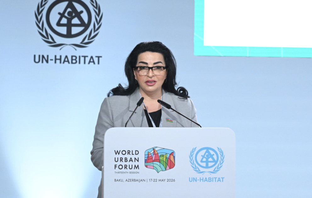 Qarabağ və Şərqi Zəngəzurda həyata keçirilən konsepsiyalar dayanıqlı inkişaf modelinin real nümunəsidir