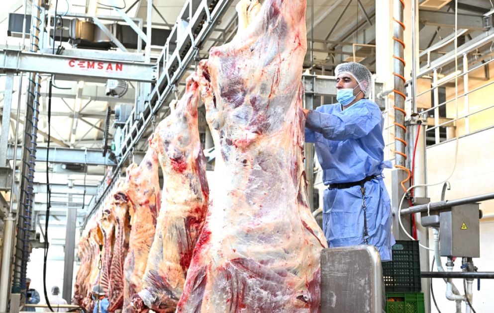 Jurnalistlərə heyvan kəsimi prosesi əyani şəkildə nümayiş etdirilib
