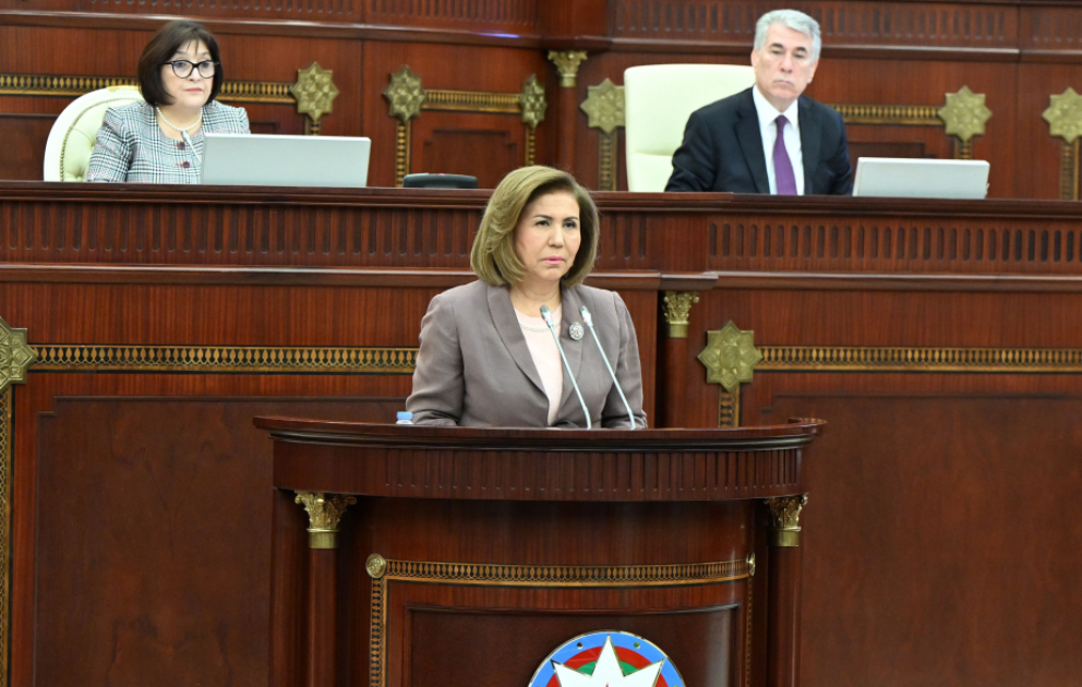 Bahar Muradova: Genderəsaslı risklərin azaldılmasında preventiv mexanizmlər səmərəli nəticə verir
