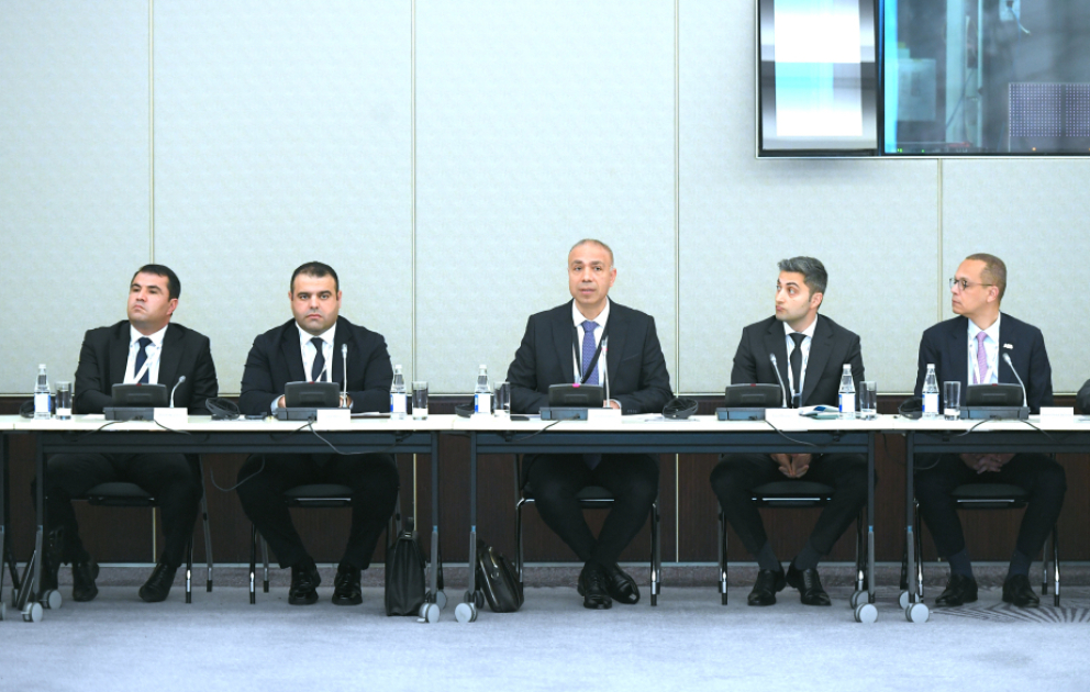 Elnur Soltanov: Enerji səmərəliliyinin artırılması üçün maliyyə mexanizmlərinin formalaşdırılması vacibdir