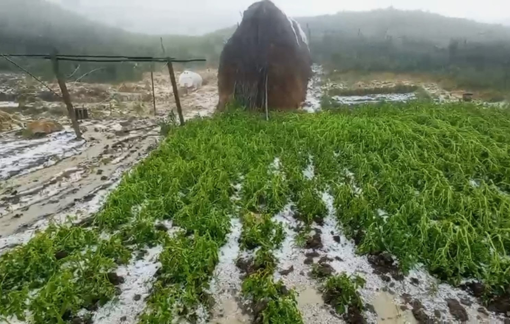 Qubanın ucqar kəndlərinə dolu yağıb