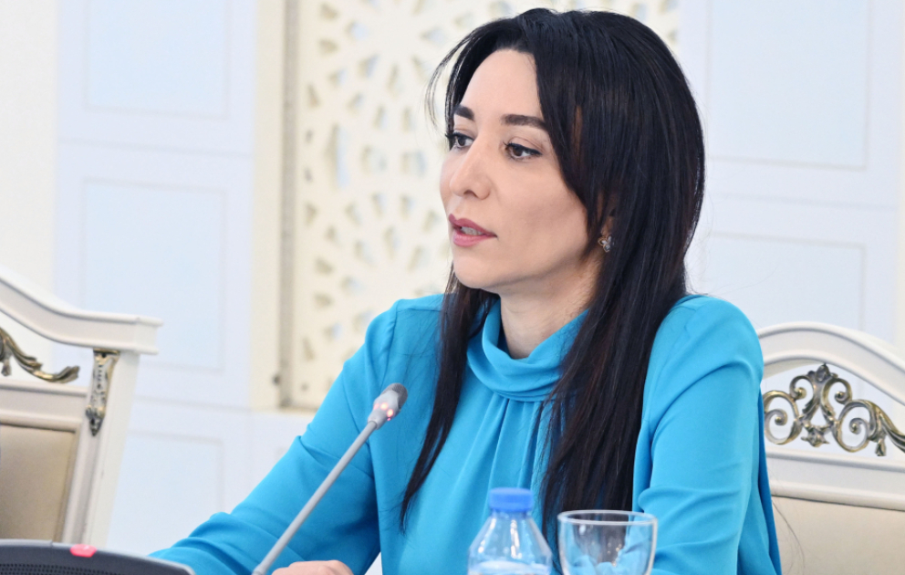 Ombudsman: Uşaqların rəqəmsal təhlükəsizliyi üçün nəzarət mexanizmləri gücləndirilməlidir