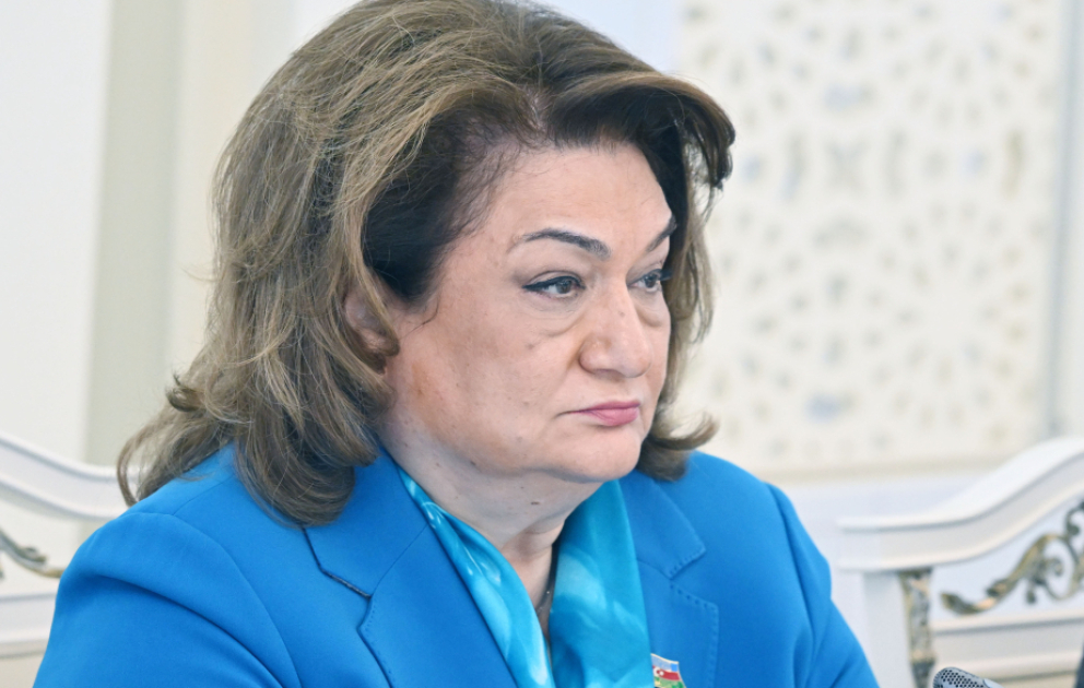 Hicran Hüseynova: Əsas məsələ uşaqları təhlükələrdən qoruyan rəqəmsal mühitin yaradılmasıdır
