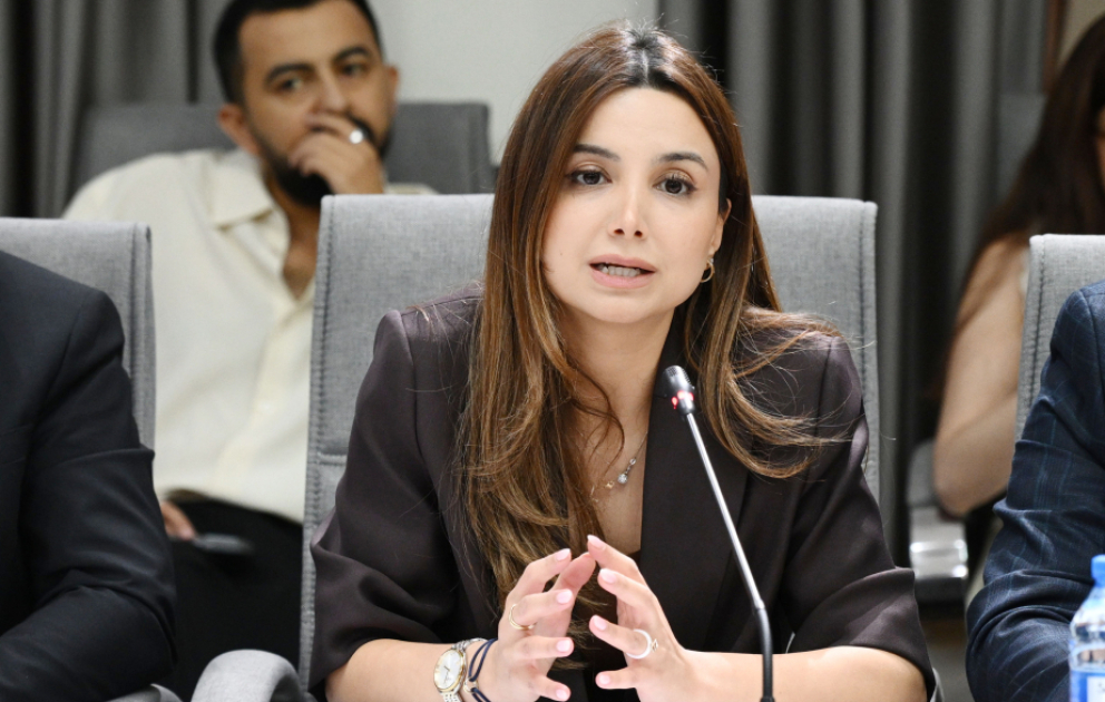 Aytən Məmmədova: Qanun layihəsi qlobal qanunvericiliyin müasir çağırışlarını özündə əks etdirir