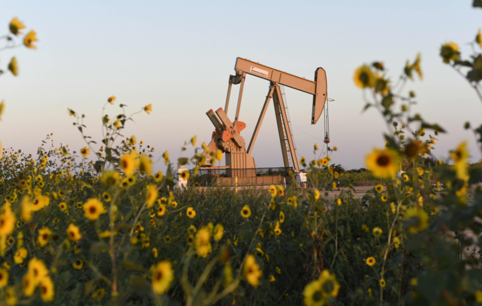 Oil prices rise in world markets