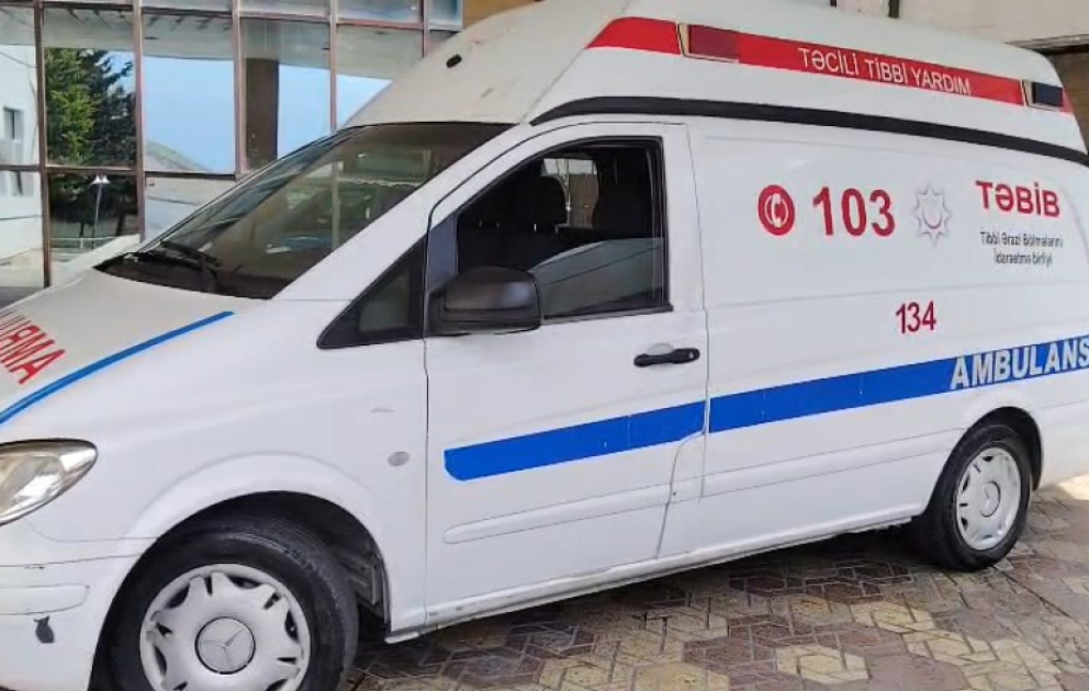 Zaqatalada 2 nəfəri ilan sancıb, onlardan 1-i ölüb