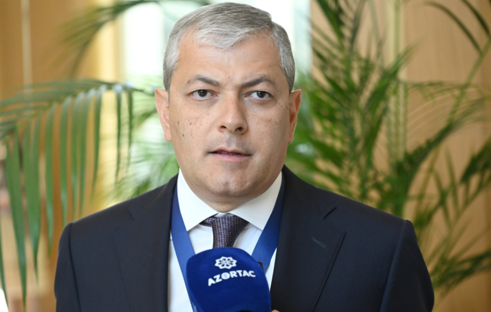 Айдын Керимов: Факультеты искусств и туризма Карабахского университета будут располагаться в Шуше