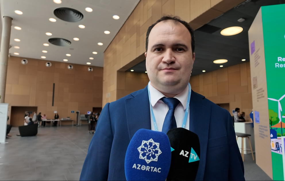 IDEA-nın eksperti: Xəzər dənizinin səviyyəsinin enməsi problemini dünya ictimaiyyətinə çatdırmaq lazımdır