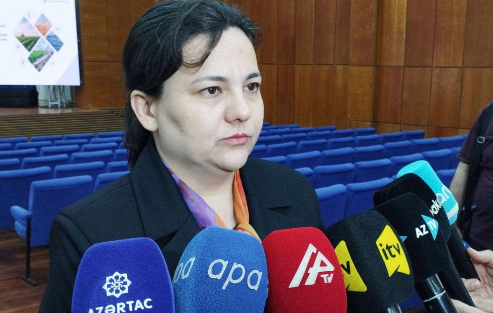 İlhamə Qədimova: Dövlət proqramı 2030-cu ilə qədər olan dövrü əhatə etsə də, sonrakı mərhələlərdə də davam etdiriləcək