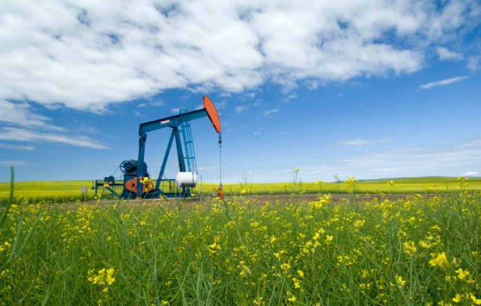 На мировых биржах цены на нефть упали