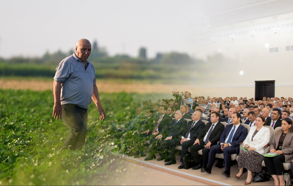 Pambıqçılığın gələcəyi: Fermerlərin gözləntisi, dövlətin dəstəyi