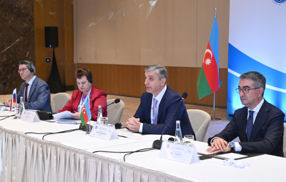 Vüqar Gülməmmədov: Dövlət satınalmalarının effektiv auditi iqtisadi artım və ictimai etimadın əsas təminatlarından biridir