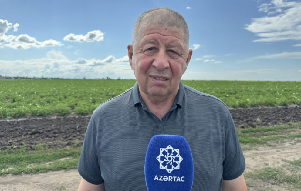 Şamaxıdan Kostanaya: Azərbaycanlı aqronomun uğur formulu