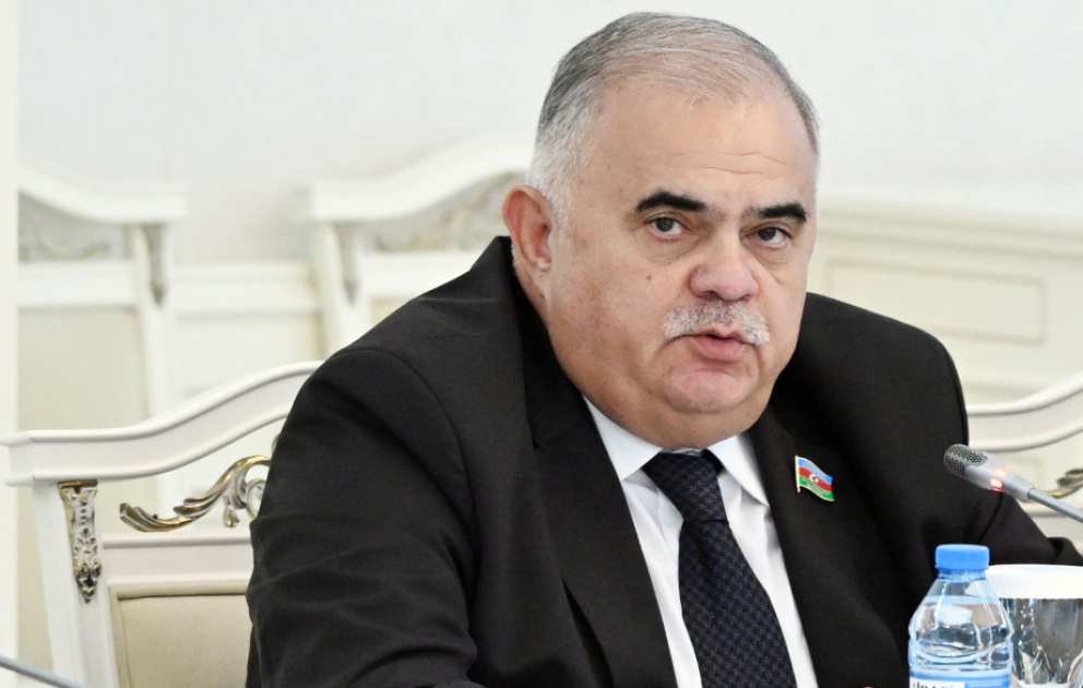 Komitə sədri: Valideynlər uşaqların rəqəmsal həyatında fəal iştirak etməlidirlər