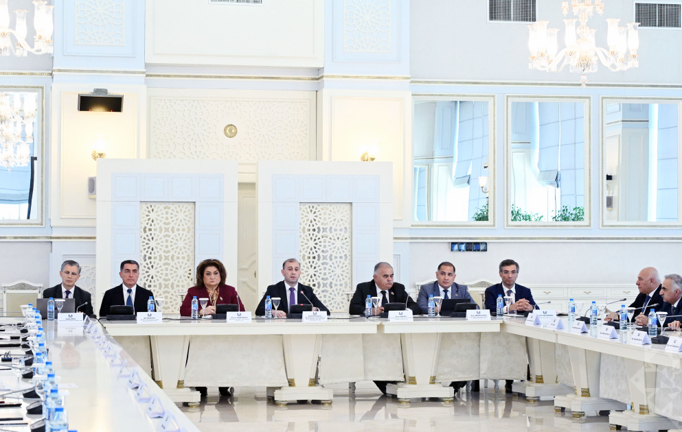 Milli Məclisdə uşaqların sosial şəbəkə platformalarındakı zərərli təsirlərdən qorunmasına dair ictimai müzakirə olub
