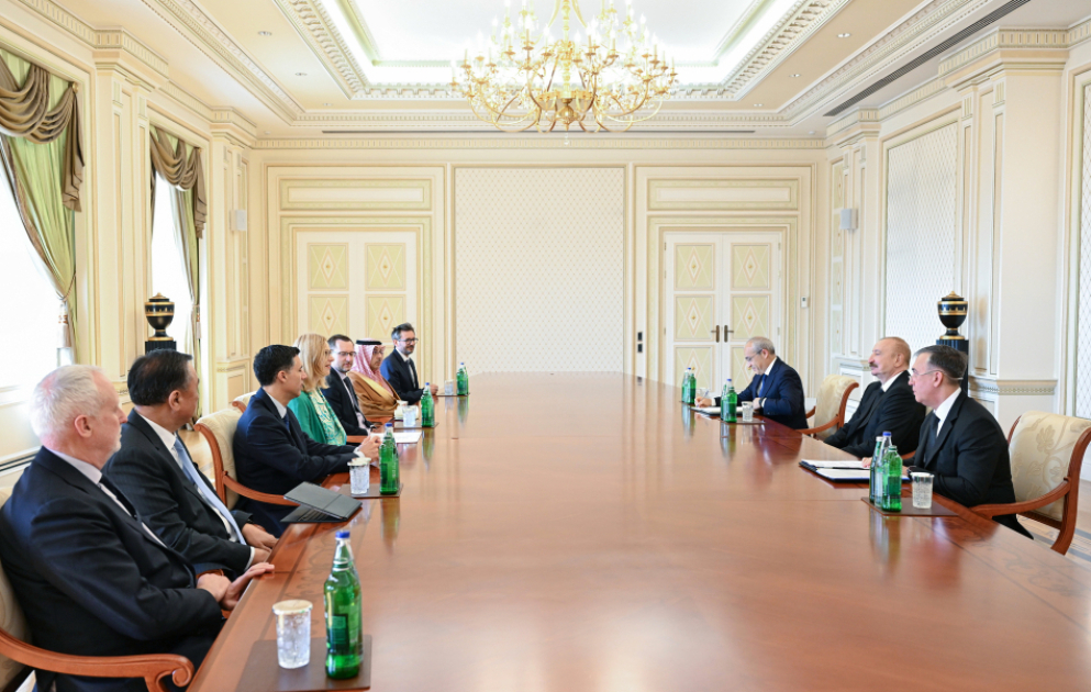President Ilham Aliyev received heads of several international organizations