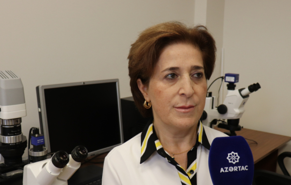 Azərbaycanda göbələklərin elmi tədqiqi: yeni növlər, biotexnoloji imkanlar MÜSAHİBƏ