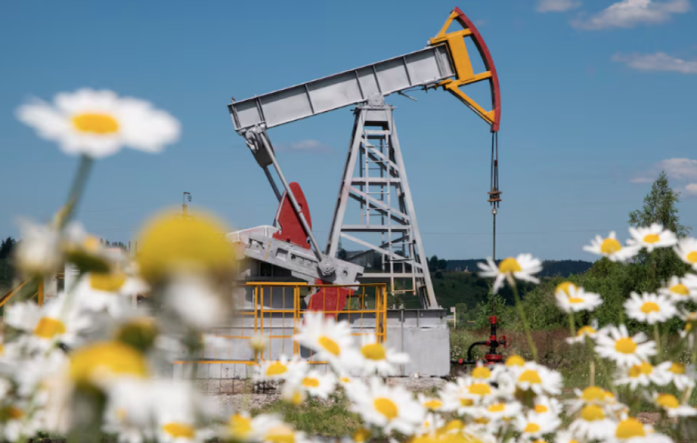 Oil prices rise on global markets