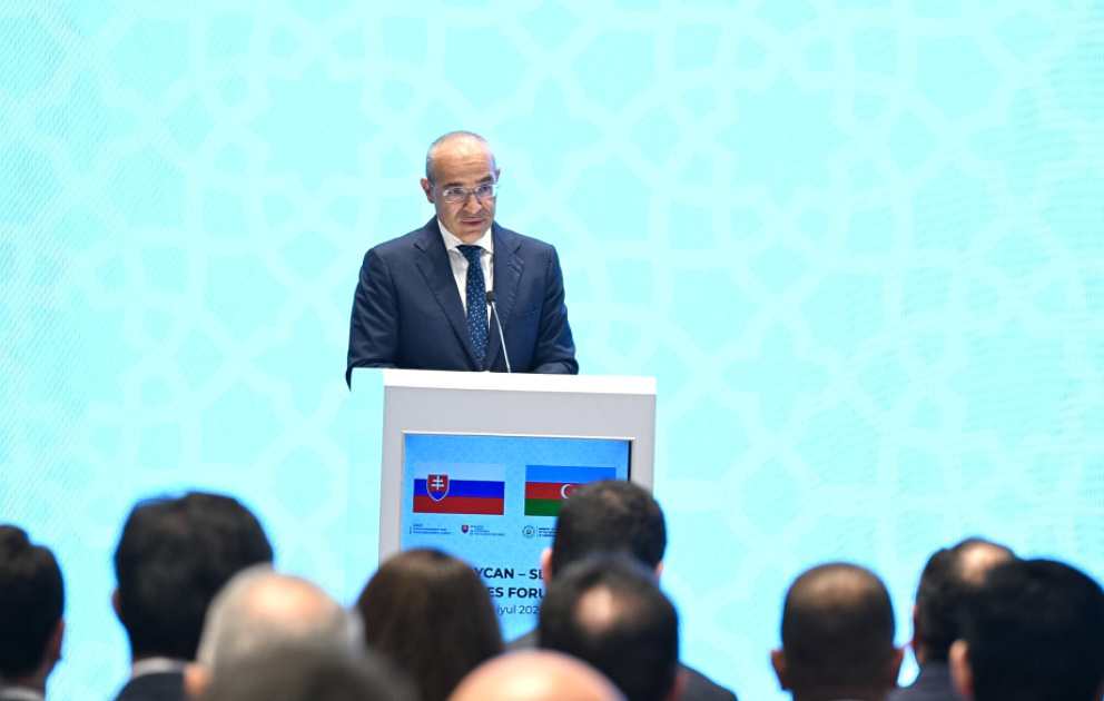 Mikayıl Cabbarov: Gələn ilin ortalarınadək Ələt Azad İqtisadi Zonasının ərazisində müasir beynəlxalq hava limanının istifadəyə verilməsi gözlənilir