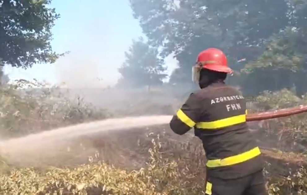 Lənkəranda açıq ərazidə baş verən yanğının söndürülməsi istiqamətində əməliyyat davam edir