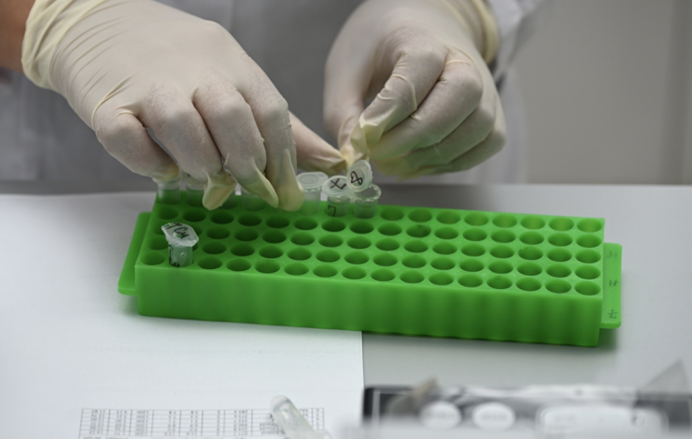 Bioadaptasiya laboratoriyasında buğdanın stresə davamlılığının öyrənilməsi istiqamətində mühüm tədqiqatlar aparılır