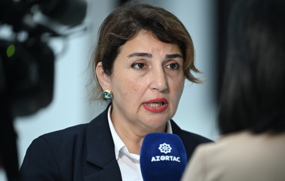 Şəfəq Mehrəliyeva: Azərbaycan dilinin qorunmasında media mühüm rol oynayır