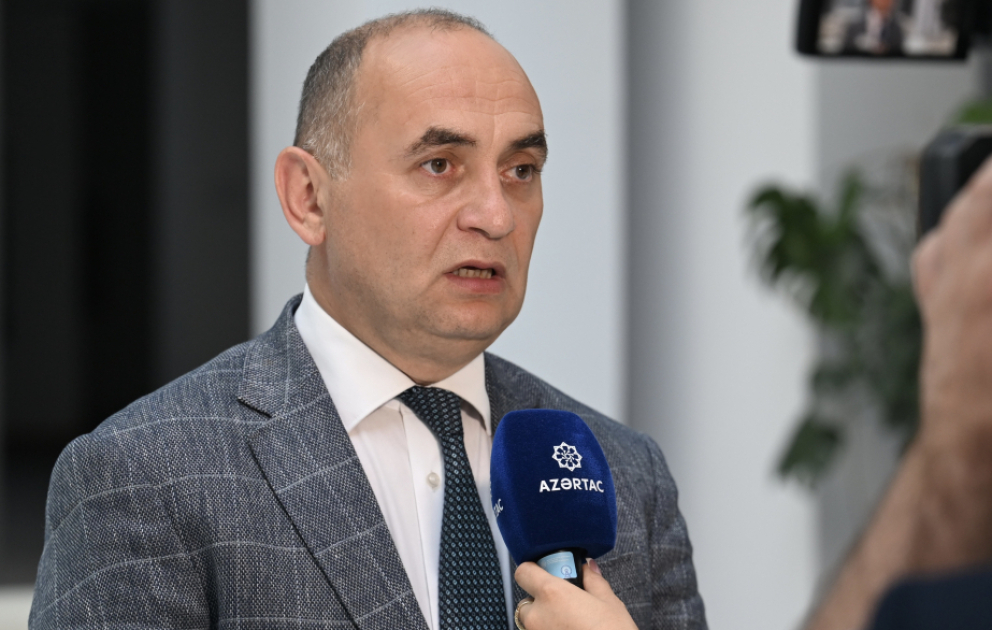 Deputat: Uşaqların sosial şəbəkələrdə zərərli məzmundan qorunması vacibdir
