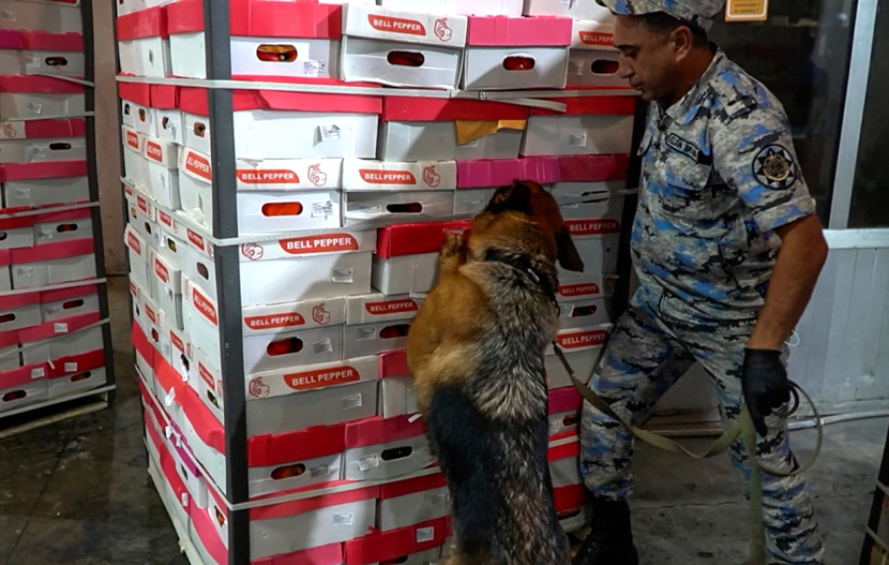 Astara gömrük postunda 25 kiloqramdan çox marixuana aşkar edilib