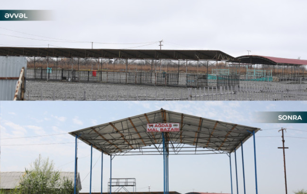 Ağdaşdakı heyvan satışı bazarının fəaliyyəti bərpa olunub