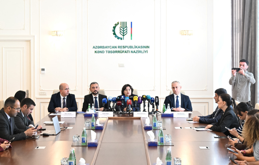 Ceyhun Əliyev: Azərbaycanda bir sıra balıq növləri üzrə özünütəminetmə səviyyəsi yüksəkdir
