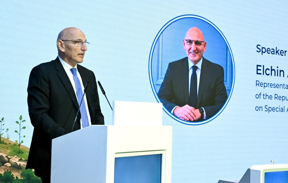Prezidentin xüsusi tapşırıqlar üzrə nümayəndəsi: Mina təhlükəsi ilə mübarizəyə beynəlxalq dəstək məhduddur