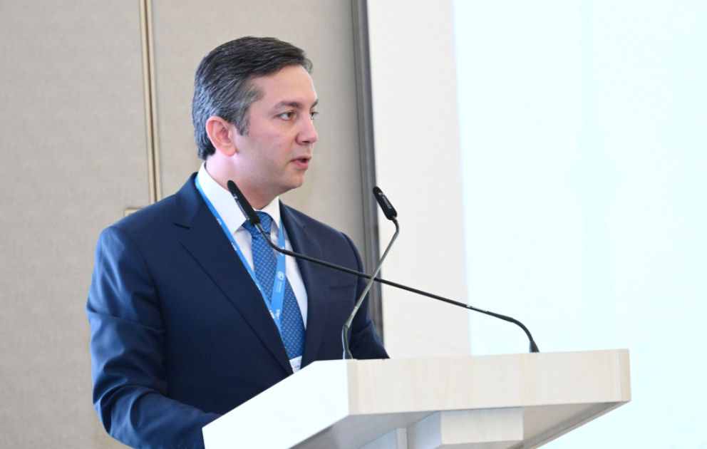Yalçın Rəfiyev: İqlim prosesi öhdəliklərin razılaşdırılmasından onların icrasına keçməlidir