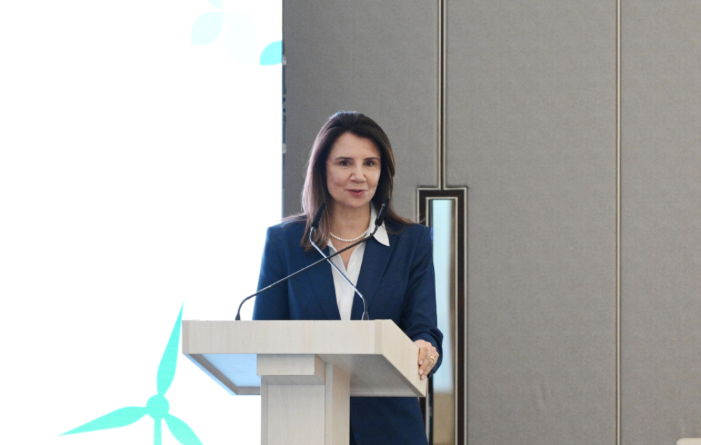 COP30-un icraçı direktoru : İqlim dəyişikliyi ilə mübarizə üçün çoxtərəfliliyi gücləndirməliyik
