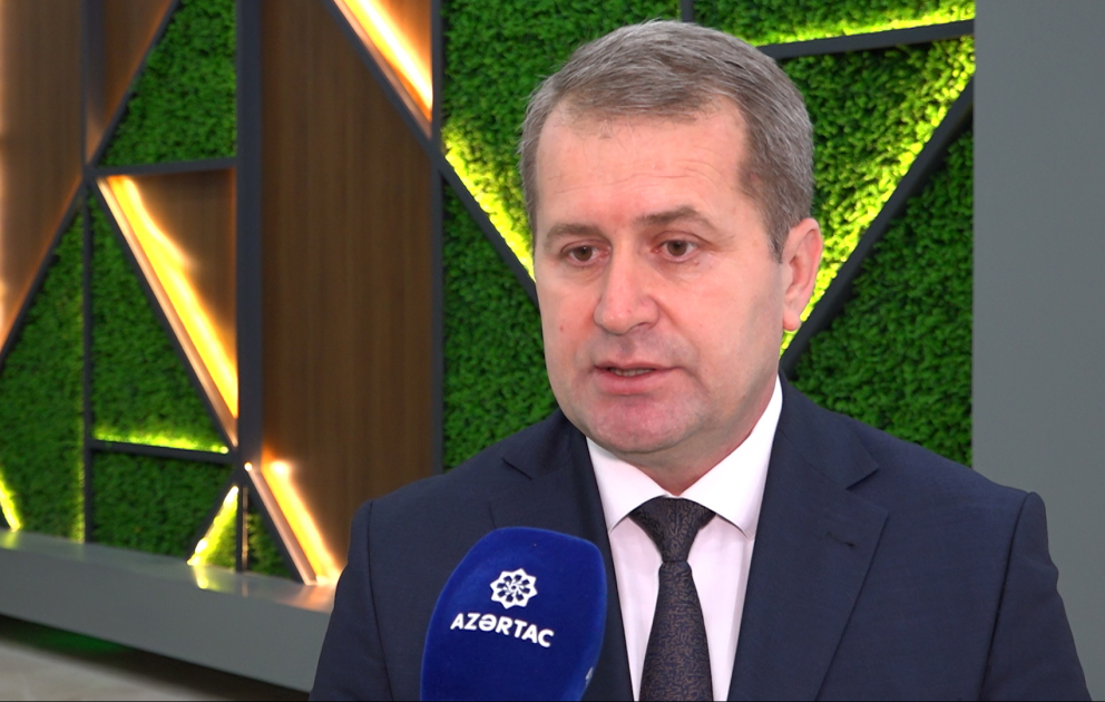 Heyvandarlıq sahəsi üzrə fermerə dövlət dəstəyi