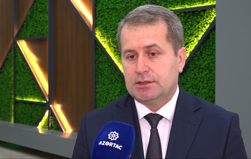 İlk dəfə bu sahələrə dövlət subsidiya verəcək