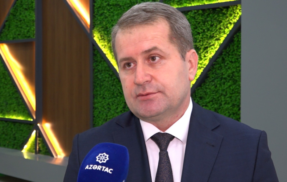 Kənd təsərrüfatının müavini təsdiqlənən yeni dövlət dəstəyi mexanizmlərini şərh edib – EKSKLÜZİV