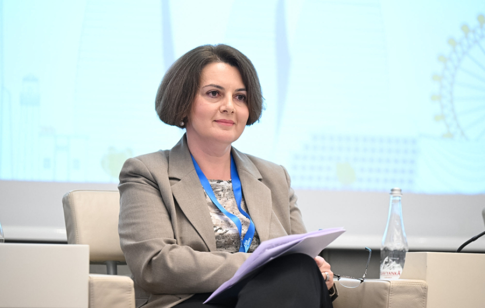 Rəna Hümbətova: Bərpaolunan enerji üzrə milli reyestrin hazırlanması istiqamətində işlər aparılır