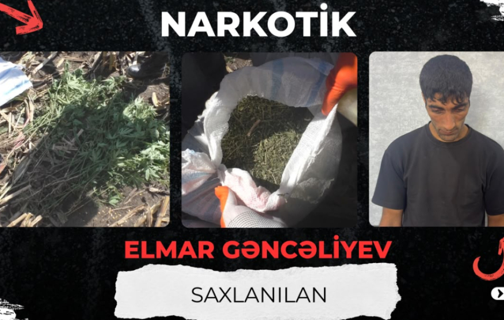 Balakəndə külli miqdarda narkotik vasitə aşkarlanıb